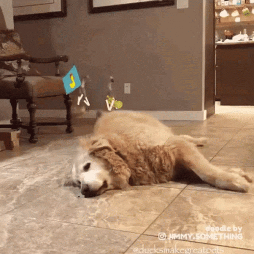 A Dog Is Laying On Its Back On A Tiled Floor In A Living Room .. GIF