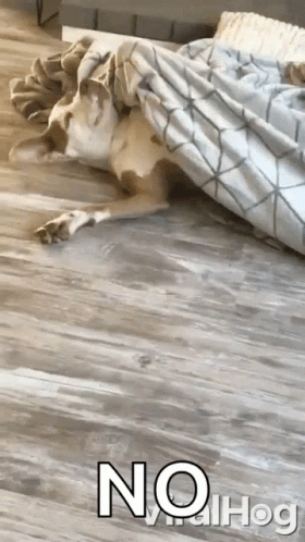 A Dog Is Laying Under A Blanket On A Wooden Floor In A Living Room . GIF