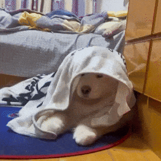 A Dog Is Laying Under A Blanket With A Hood On It . GIF