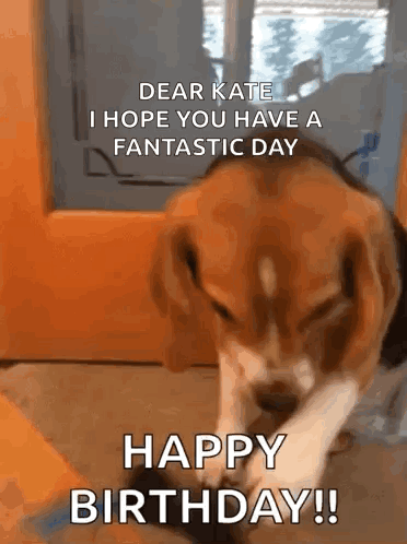 A Dog Is Licking Its Paw And Says Dear Kate I Hope You Have A Fantastic Day Happy Birthday GIF