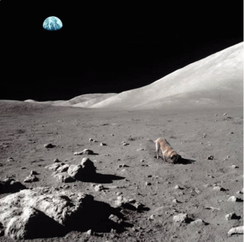 A Dog Is On The Moon With The Earth In The Background GIF