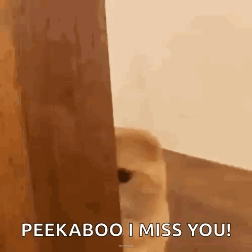 A Dog Is Peeking Out From Behind A Door And Says `` Peekaboo I Miss You ! '' GIF