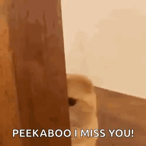 a dog is peeking out from behind a wooden door and saying `` peekaboo i miss you '' .