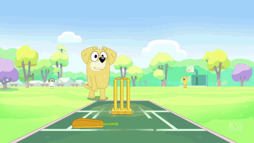 A Dog Is Playing A Game Of Cricket With Another Dog In The Background GIF