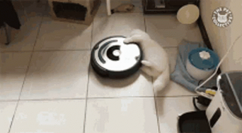 A Dog Is Playing With A Vacuum Cleaner On The Floor . GIF