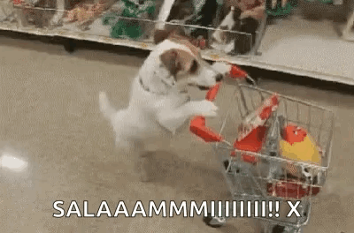 A Dog Is Pushing A Shopping Cart With A Toy In It . GIF