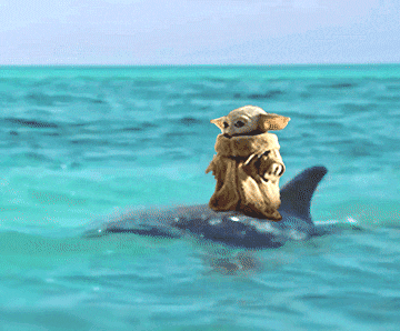 A Dog Is Riding A Dolphin In The Ocean GIF