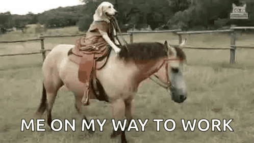 A Dog Is Riding A Horse In A Field With The Caption `` Me On My Way To Work '' . GIF