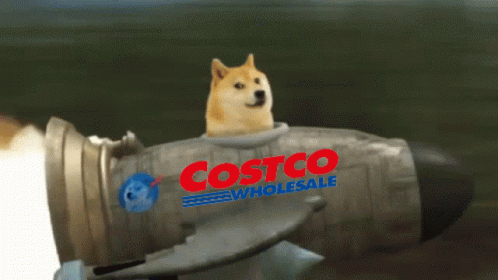 A Dog Is Riding A Rocket That Says Costco Wholesale GIF
