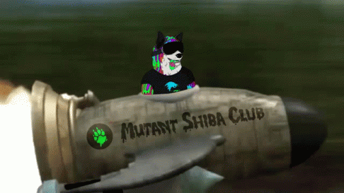 A Dog Is Riding A Rocket That Says Mutant Shiba Club On It GIF
