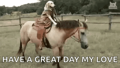A Dog Is Riding On The Back Of A Brown Horse . GIF