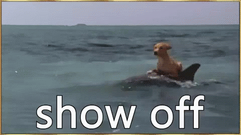 A Dog Is Riding On The Back Of A Dolphin . GIF