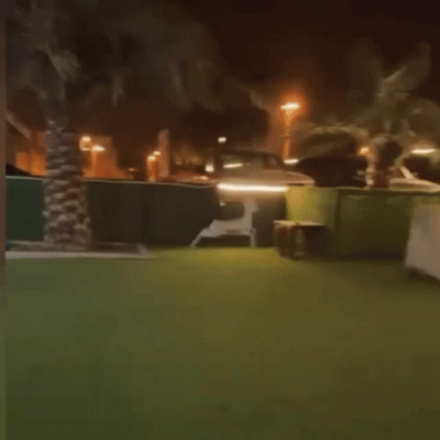 A Dog Is Running On A Lush Green Lawn In Front Of A Tent At Night . GIF