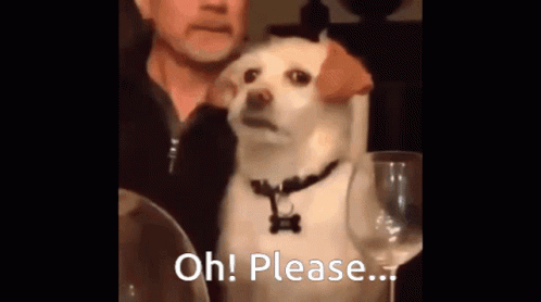 A Dog Is Sitting At A Table With A Man And A Glass Of Wine . GIF