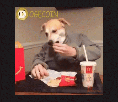 A Dog Is Sitting At A Table With A Mcdonald 'S Cup GIF