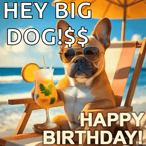 A Dog Is Sitting In A Beach Chair Holding A Drink And Saying " Hey Big Dogs ! $ Happy Birthday ! " GIF