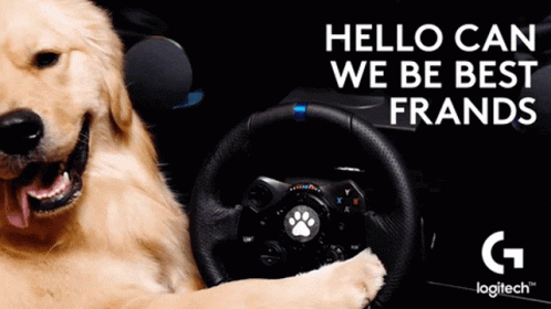 A Dog Is Sitting In A Car With A Steering Wheel And The Words " Hello Can We Be Best Frands " GIF