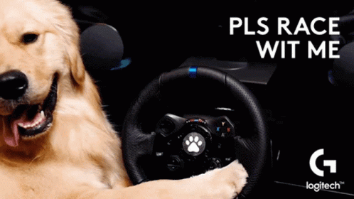 A Dog Is Sitting In A Car With A Steering Wheel And The Words Pls Race Wit Me GIF