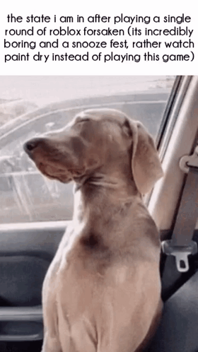 A Dog Is Sitting In A Car With Its Eyes Closed And Looking Out The Window . GIF