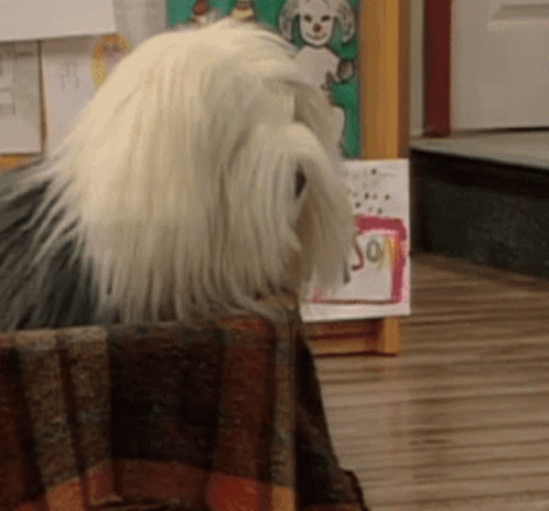 a dog is sitting in front of a sign that says " say "