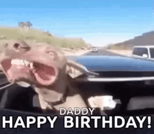 A Dog Is Sitting In The Driver 'S Seat Of A Car And Making A Funny Face . GIF