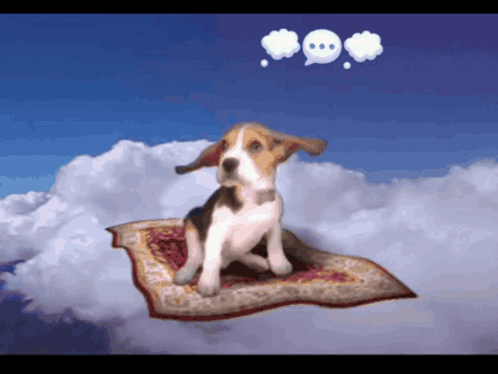 A Dog Is Sitting On A Carpet In The Sky GIF