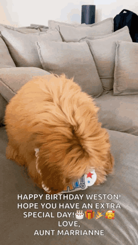 A Dog Is Sitting On A Couch With A Birthday Greeting On It GIF