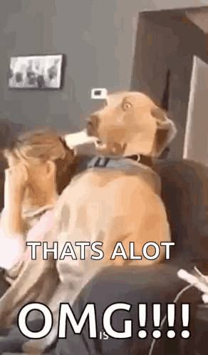A Dog Is Sitting On A Couch With Its Head On A Woman 'S Face . GIF