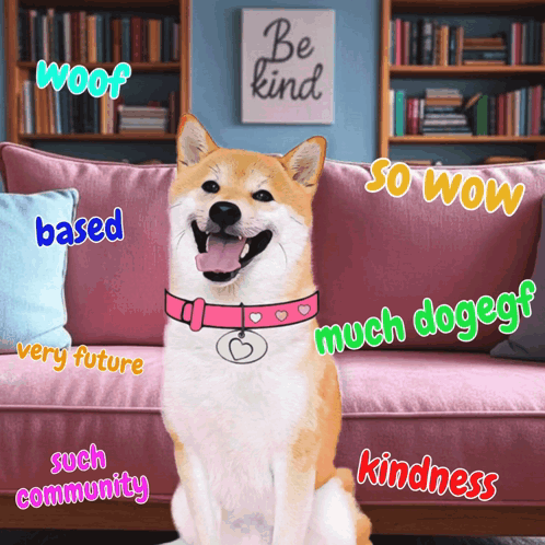 A Dog Is Sitting On A Pink Couch With Words Such As Woof Based Very Future And Such Community GIF