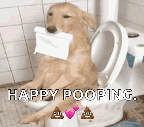 A Dog Is Sitting On A Toilet With A Roll Of Toilet Paper In Its Mouth And The Words Happy Pooping Above It GIF