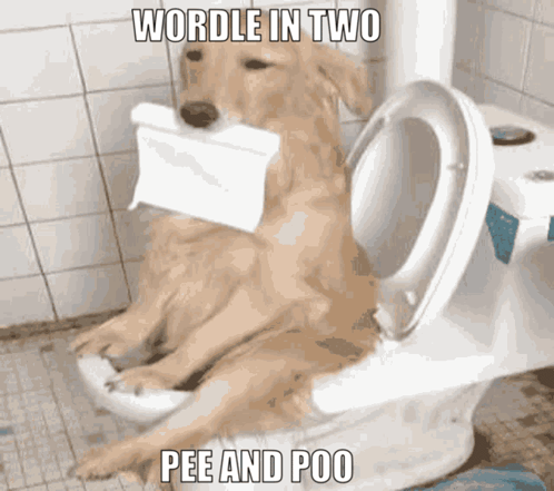 A Dog Is Sitting On A Toilet With A Roll Of Toilet Paper In Its Mouth And The Words Wordle In Two Pee And Poo Below It GIF