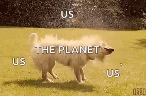 A Dog Is Spraying Water On Itself In A Field With The Words `` Us The Planet Us Us '' . GIF