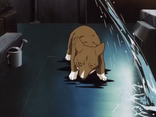 A Dog Is Standing In A Dark Room With A Watering Can On The Wall GIF