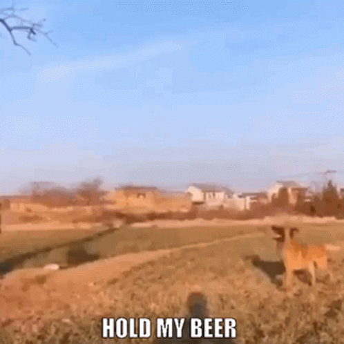 A Dog Is Standing In A Field With The Words Hold My Beer Above It GIF