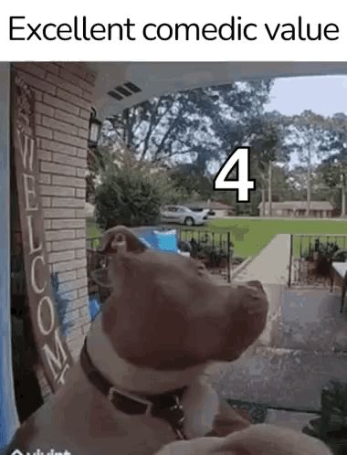 A Dog Is Standing In Front Of A Brick Building With A Sign That Says Welcome . GIF