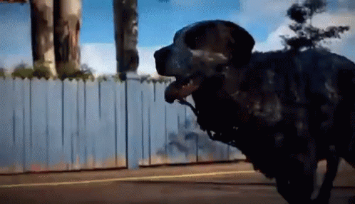 A Dog Is Standing In Front Of A Fence With A Statue In The Background GIF