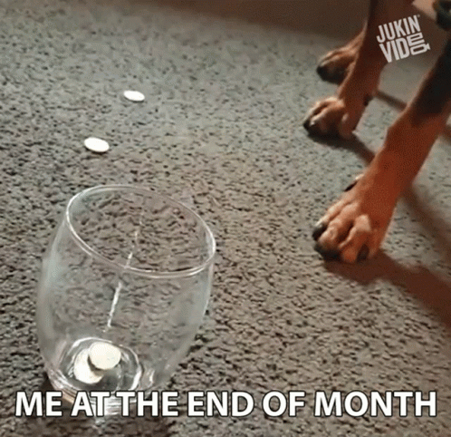 A Dog Is Standing Next To An Empty Wine Glass With A Coin In It And A Caption That Says Me At The End Of Month GIF