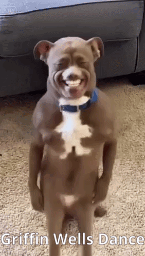 A Dog Is Standing On Its Hind Legs And Smiling . GIF