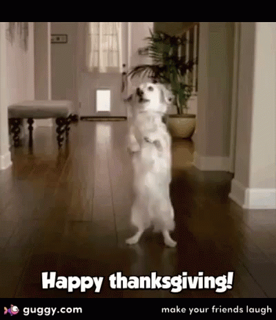 A Dog Is Standing On Its Hind Legs In A Hallway And Says Happy Thanksgiving GIF