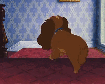 A Dog Is Standing On Its Hind Legs In A Room . GIF