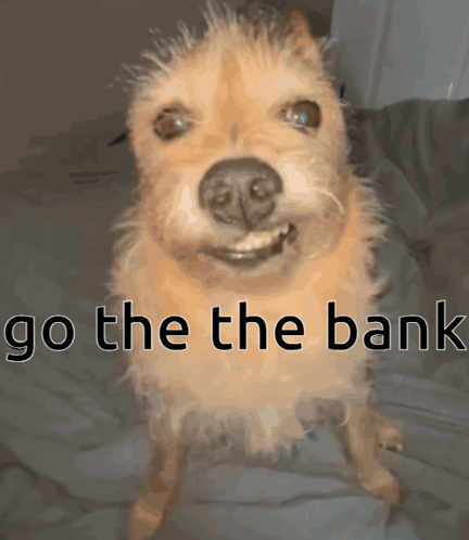 A Dog Is Standing On Its Hind Legs With The Words Go The Bank Above It GIF