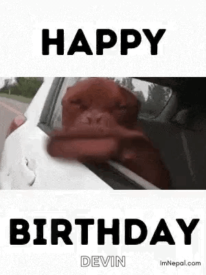 A Dog Is Sticking Its Head Out Of A Car Window And Says Happy Birthday . GIF