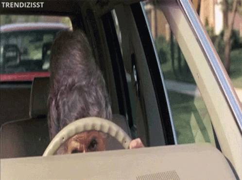 A Dog Is Sticking Its Head Out Of The Steering Wheel Of A Car With The Words Trendizisst Above It GIF