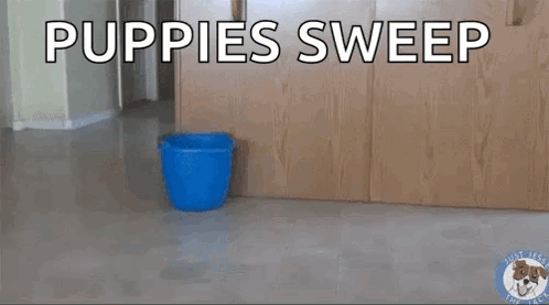 a dog is sweeping the floor next to a blue bucket and a mop .