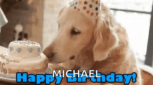 A Dog Is Wearing A Party Hat And Eating A Birthday Cake GIF