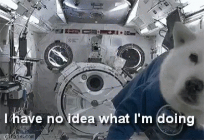 A Dog Is Wearing A Space Suit And Saying `` I Have No Idea What I Am Doing '' . GIF