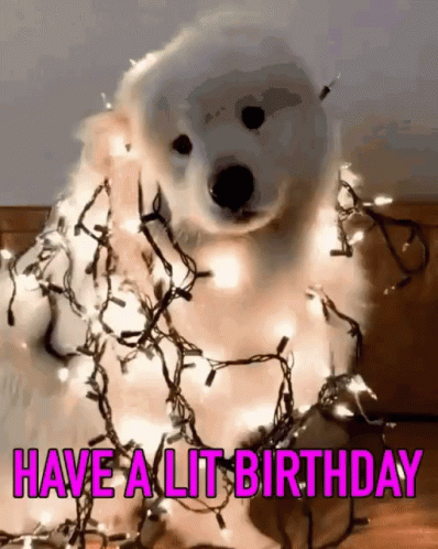 A Dog Is Wrapped In Christmas Lights With The Words Have A Lit Birthday GIF