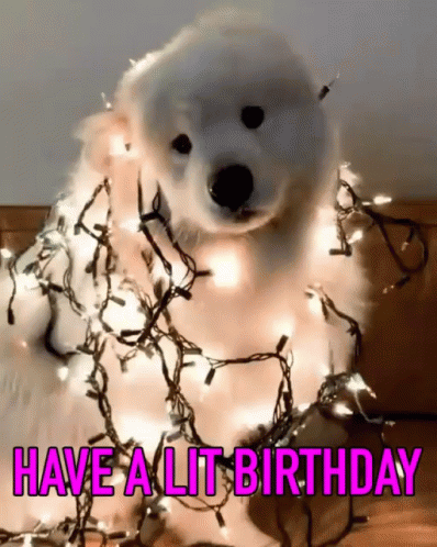 A Dog Is Wrapped In Christmas Lights With The Words " Have A Lit Birthday " Above It GIF