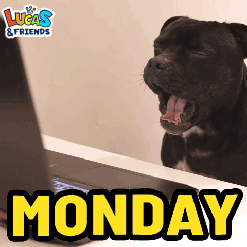 A Dog Is Yawning In Front Of A Laptop And The Word Monday Is On The Bottom GIF