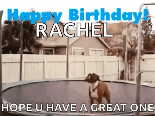 A Dog Jumping On A Trampoline With The Words Happy Birthday Rachel Hope U Have A Great One On It GIF